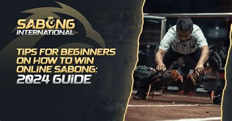 Best Sabong Winning Guide For Beginners: How to .